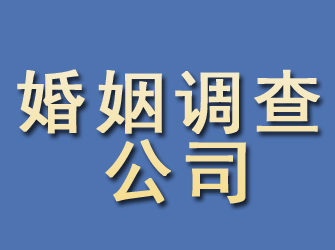 廛河婚姻调查公司