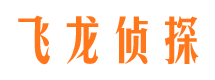 廛河侦探公司